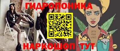 мдпв Вышний Волочёк