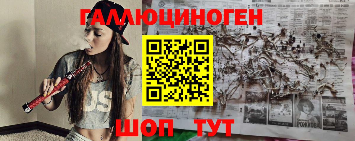 Псилоцибиновые грибы Psilocybe  цена   Морозовск  Вход с VPN 